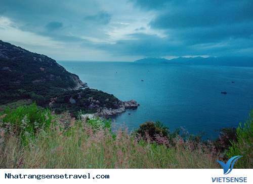 Đồi cỏ lau ở đâu? - Ảnh 2 Đồi cỏ lau ở đâu? - Ảnh 2