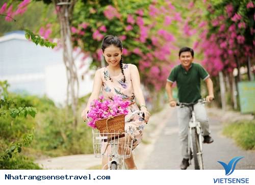 khách thăm quan mê mẩn thành phố hoa giấy Nha Trang - Ảnh 2 khách thăm quan mê mẩn thành phố hoa giấy Nha Trang - Ảnh 2