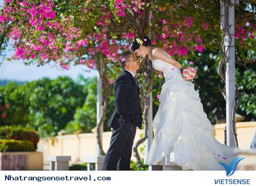 khách thăm quan mê mẩn thành phố hoa giấy Nha Trang - Ảnh 4 khách thăm quan mê mẩn thành phố hoa giấy Nha Trang - Ảnh 4