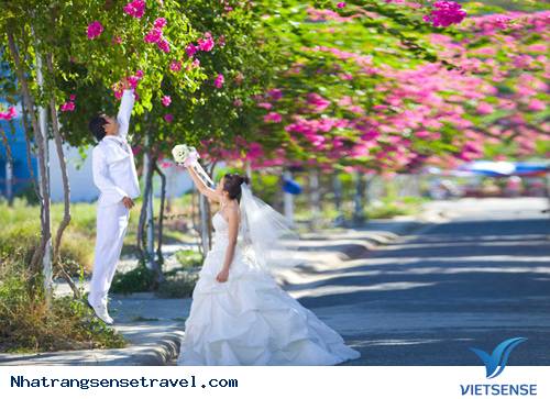 khách thăm quan mê mẩn thành phố hoa giấy Nha Trang - Ảnh 1 khách thăm quan mê mẩn thành phố hoa giấy Nha Trang - Ảnh 1