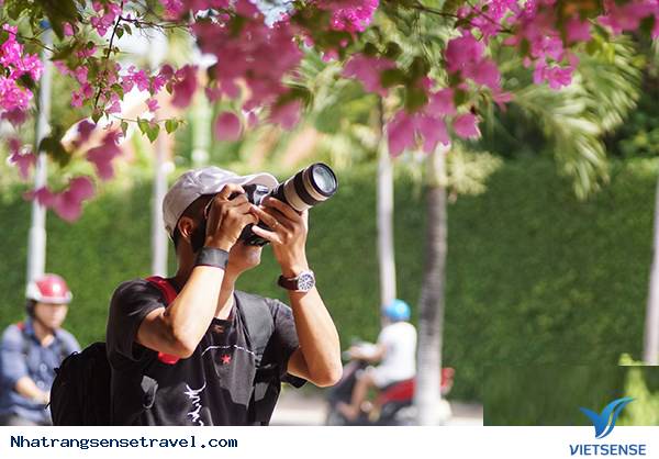 khách thăm quan mê mẩn thành phố hoa giấy Nha Trang - Ảnh 5 khách thăm quan mê mẩn thành phố hoa giấy Nha Trang - Ảnh 5