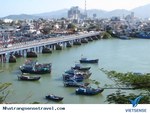 khách thăm quan Tây Chia Sẻ Một Ngày Thú Vị Tại Nha Trang - Ảnh 1