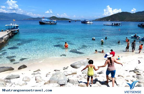 hành trình biển nha trang không khói bụi - Ảnh 1 hành trình biển nha trang không khói bụi - Ảnh 1