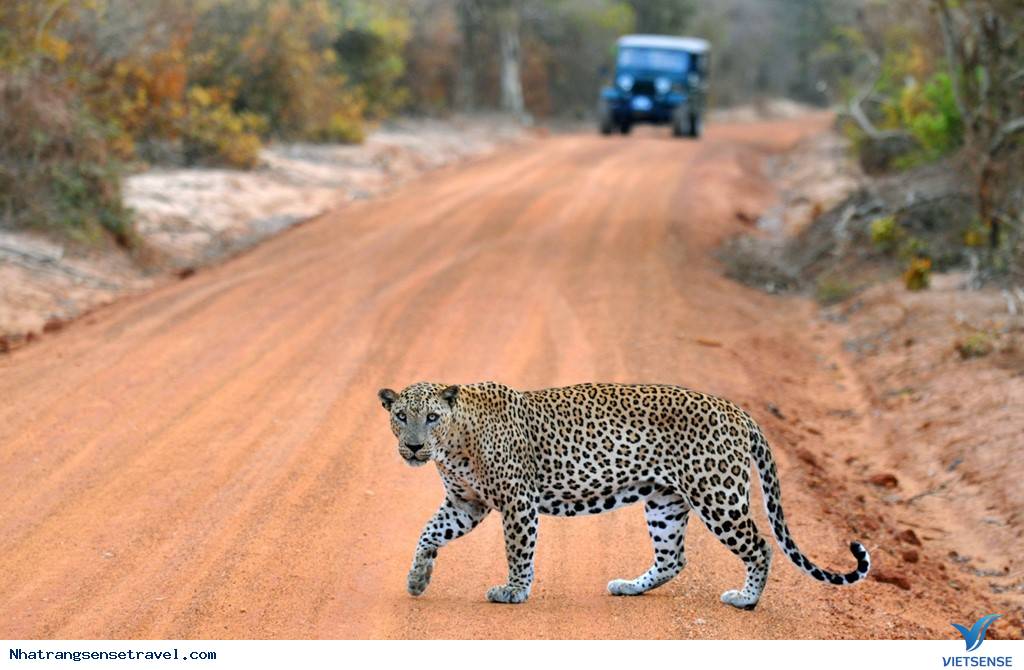 hành trình Bụi Việt Nam Là 1 Trong 10 Điểm Đến Tuyệt Nhất Thế Giới - Ảnh 9 hành trình Bụi Việt Nam Là 1 Trong 10 Điểm Đến Tuyệt Nhất Thế Giới - Ảnh 9