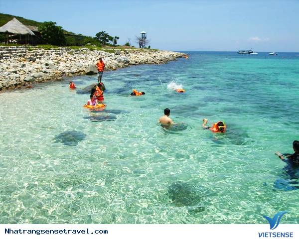 hành trình Khánh Hòa 6 Tháng Đầu Năm Tăng Trưởng Ổn Định - Ảnh 2 hành trình Khánh Hòa 6 Tháng Đầu Năm Tăng Trưởng Ổn Định - Ảnh 2