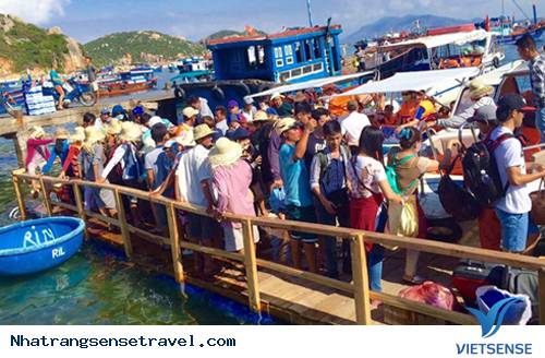 Đảo Bình Ba Sẽ không Được Phát Triển Du Lịch Đảo Bình Ba Sẽ không Được Phát Triển Du Lịch