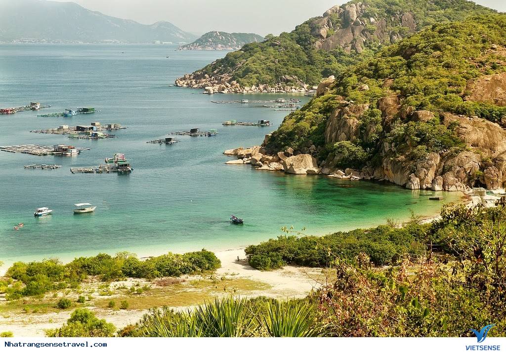 Hành Trình 4 ngày 3 đêm: Sài Gòn – Bình Ba – Nha Trang – Sài Gòn - Ảnh 4