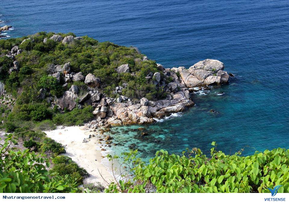 Hành Trình 4 ngày 3 đêm: Sài Gòn – Bình Ba – Nha Trang – Sài Gòn - Ảnh 2