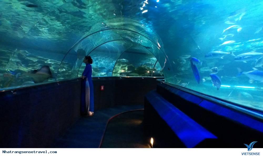 hành trình Nha Trang Đừng Nên Bỏ Qua 1 Trong 10 Điểm Đến Này - Ảnh 5