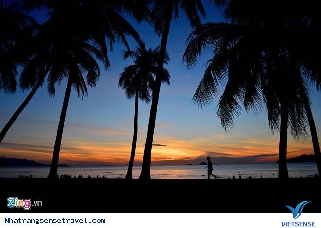 hành trình Nha Trang Lạc Bước Trên Tuyến Đường Sầm Uất Nhất Thành Phố - Ảnh 7