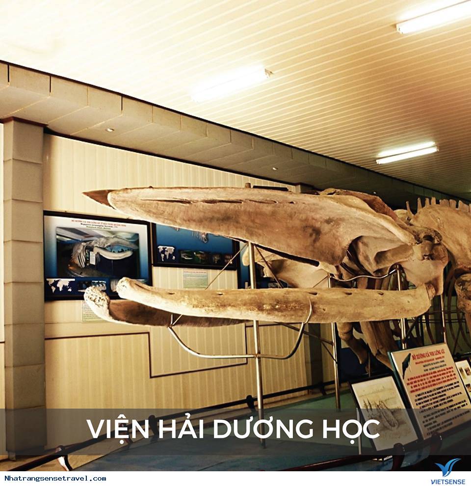 VIỆN HẢI DƯƠNG HỌC VIỆN HẢI DƯƠNG HỌC