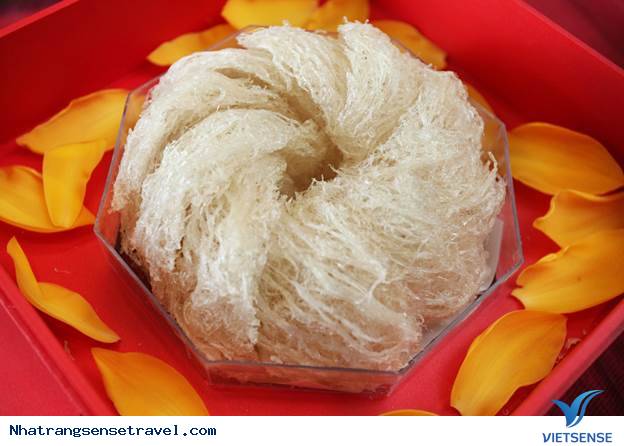 Yến sào Khánh Hòa