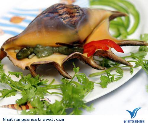 hành trình Nha Trang Những Món Ăn Hấp Dẫn(P1) - Ảnh 3 hành trình Nha Trang Những Món Ăn Hấp Dẫn(P1) - Ảnh 3