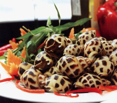 hành trình Nha Trang Những Món Ăn Hấp Dẫn(P1) - Ảnh 4 hành trình Nha Trang Những Món Ăn Hấp Dẫn(P1) - Ảnh 4