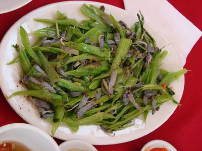 Sá Sùng Nha Trang Sá Sùng Nha Trang