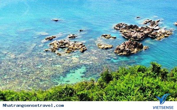 hành trình Nha Trang Những Ngày Lễ Tới 9 Nơi Vừa Thưa Người Vừa Đẹp - Ảnh 9