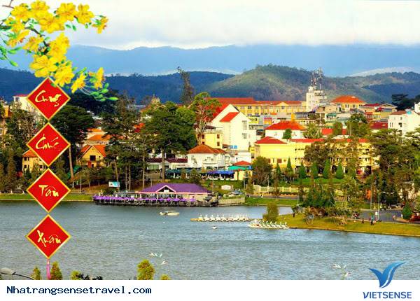 hành trình Nha Trang Tết dương lịch 2025 - Ảnh 1 hành trình Nha Trang Tết dương lịch 2025 - Ảnh 1