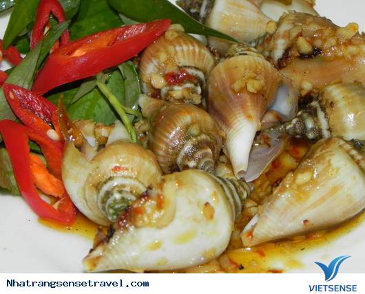 Món Ốc Nha Trang Món Ốc Nha Trang