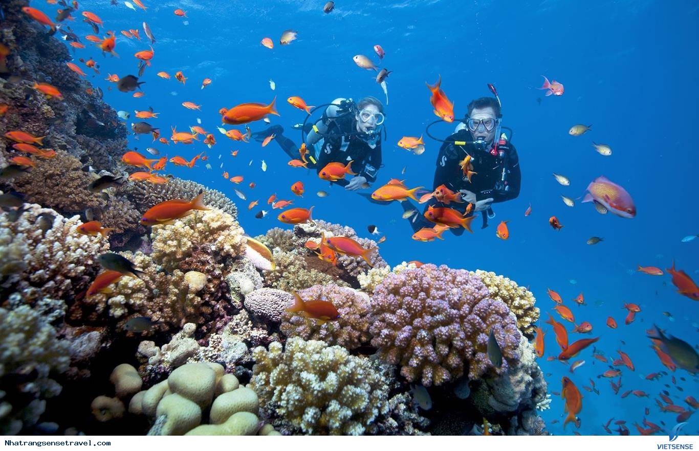 Những điều lên làm khi đi thăm quan nha trang vào tháng 9 và tháng 10 Những điều lên làm khi đi thăm quan nha trang vào tháng 9 và tháng 10