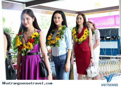 hành trình Nha Trang:Thí Sinh Hoa Hậu Hoàn Vũ Đã Có Mặt Tại Nha Trang - Ảnh 4 hành trình Nha Trang:Thí Sinh Hoa Hậu Hoàn Vũ Đã Có Mặt Tại Nha Trang - Ảnh 4