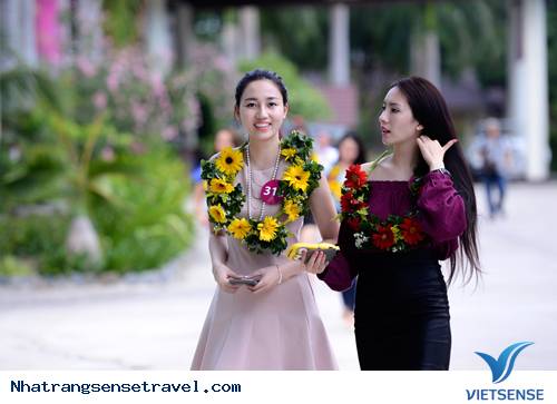 hành trình Nha Trang:Thí Sinh Hoa Hậu Hoàn Vũ Đã Có Mặt Tại Nha Trang - Ảnh 5 hành trình Nha Trang:Thí Sinh Hoa Hậu Hoàn Vũ Đã Có Mặt Tại Nha Trang - Ảnh 5