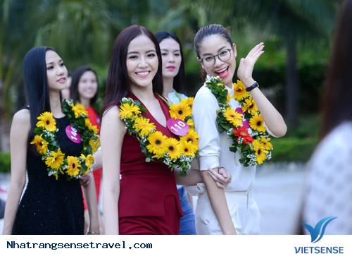 hành trình Nha Trang:Thí Sinh Hoa Hậu Hoàn Vũ Đã Có Mặt Tại Nha Trang - Ảnh 2 hành trình Nha Trang:Thí Sinh Hoa Hậu Hoàn Vũ Đã Có Mặt Tại Nha Trang - Ảnh 2
