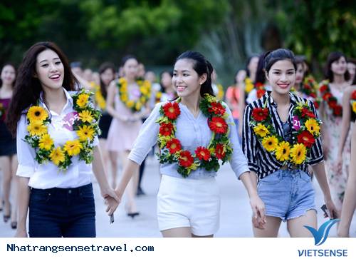 hành trình Nha Trang:Thí Sinh Hoa Hậu Hoàn Vũ Đã Có Mặt Tại Nha Trang - Ảnh 3 hành trình Nha Trang:Thí Sinh Hoa Hậu Hoàn Vũ Đã Có Mặt Tại Nha Trang - Ảnh 3