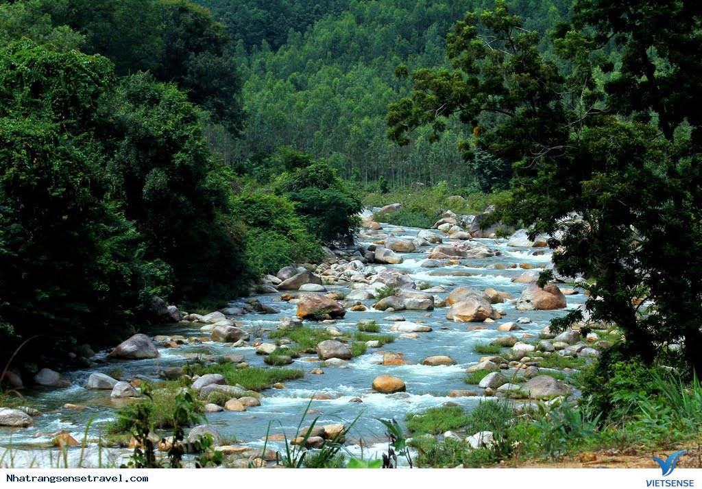 hành trình suối Đá Giăng Nha Trang - Ảnh 2 hành trình suối Đá Giăng Nha Trang - Ảnh 2