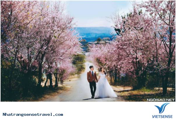 hành trình Theo Cung Hoàng Đạo