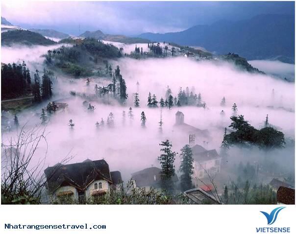 trải nghiệm Theo Cung Hoàng Đạo