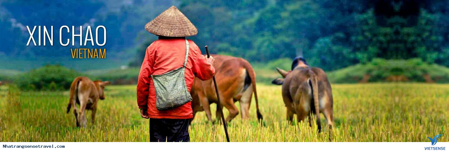 Lữ Hành Việt Nam
 Có Đang Tiếc Chi Phí Quảng Bá - Ảnh 1