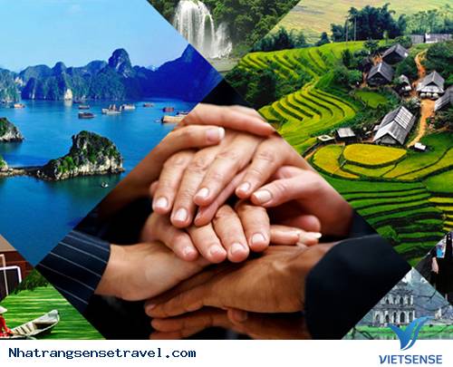 Lữ Hành Việt Nam
 Có Đang Tiếc Chi Phí Quảng Bá - Ảnh 3