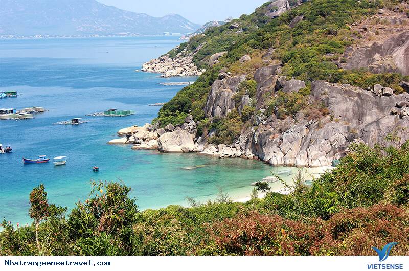 Ghé thăm bãi Bồ Đề trên đảo tôm hùm - Ảnh 4