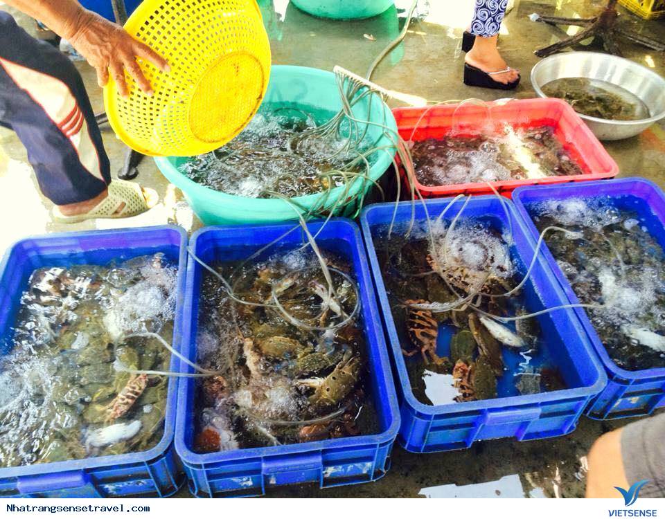 Giá cả của chợ hải sản Giá cả của chợ hải sản