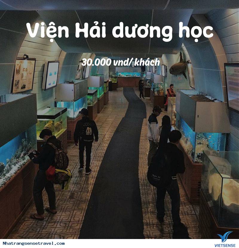 Giá Vé Tham Khảo Các Điểm Thăm Quan Có Thu Phí Ở Nha Trang - Ảnh 11 Giá Vé Tham Khảo Các Điểm Thăm Quan Có Thu Phí Ở Nha Trang - Ảnh 11