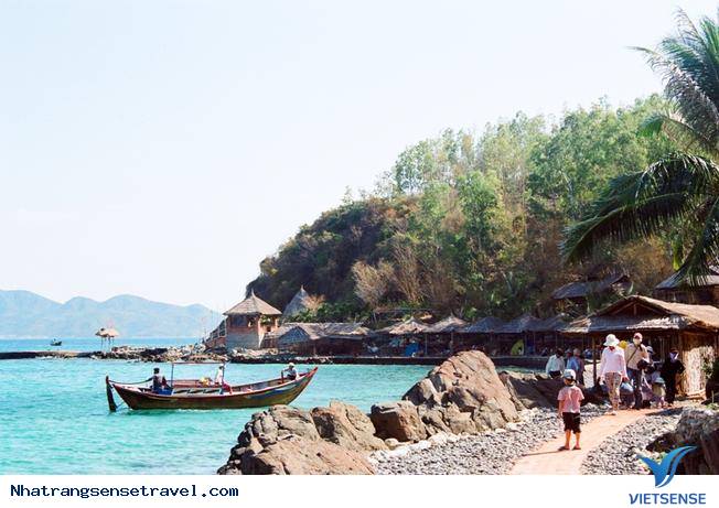 Giới thiệu tổng quan về Con Sẻ Tre