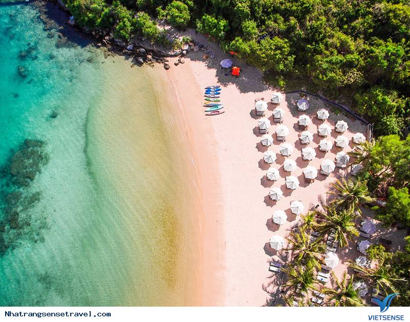 Giới thiệu về Đầm Bấy - Ảnh 2 Giới thiệu về Đầm Bấy - Ảnh 2