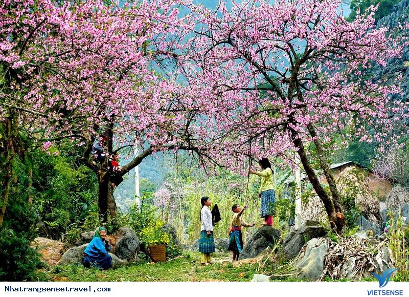 Gợi Ý 5 Hành Trình khám phá
 Lý Tưởng Cho Ngày Đông Tới Xuân Sáng - Ảnh 2