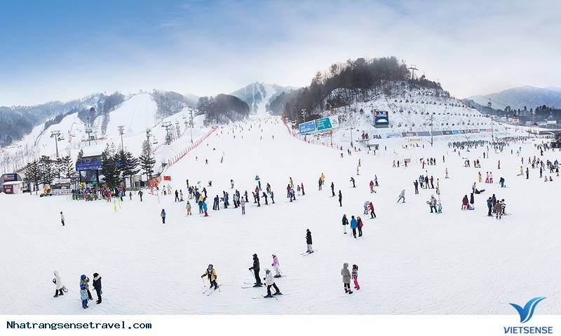 Gợi Ý 5 Hành Trình khám phá
 Lý Tưởng Cho Ngày Đông Tới Xuân Sáng - Ảnh 8