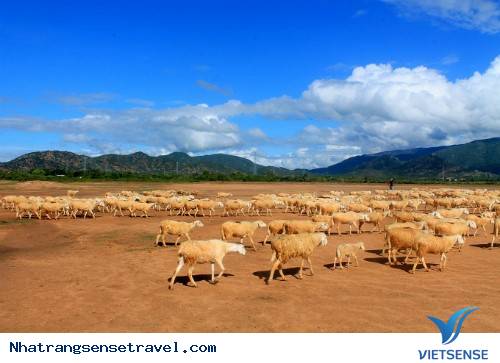 Gợi Ý Hành Trinh Cho Chuyến Du Xuân 9 Ngày Qua 5 Tỉnh Thành - Ảnh 4 Gợi Ý Hành Trinh Cho Chuyến Du Xuân 9 Ngày Qua 5 Tỉnh Thành - Ảnh 4