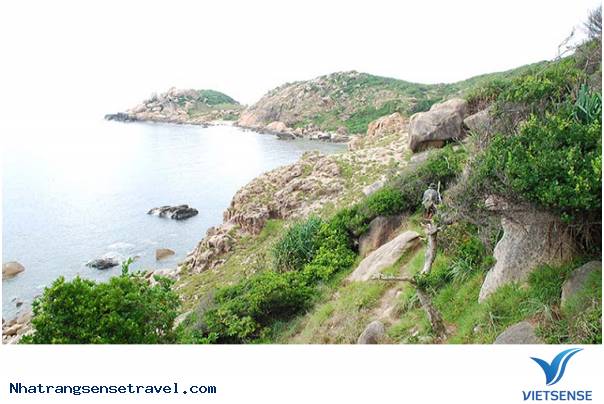 Gợi Ý Hành Trình Cho 3 Ngày Chinh Phục Cực Đông Tổ Quốc - Ảnh 4