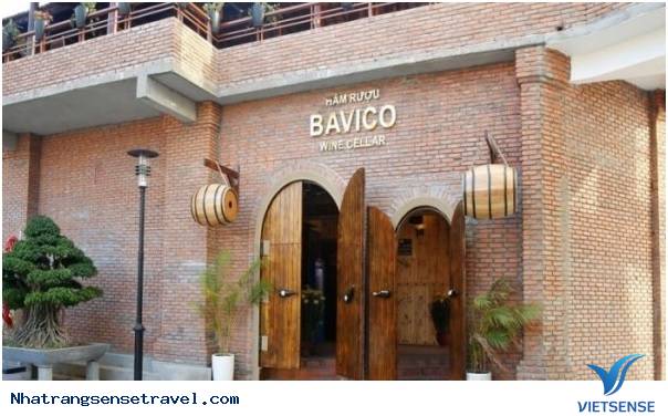 Hầm rượu Bavico – Không Gian Riêng Lý Tưởng Cho Mọi Cuộc Gặp Gỡ - Ảnh 1