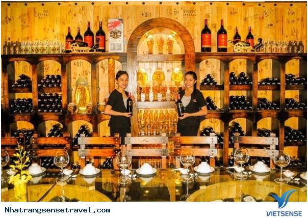 Hầm rượu Bavico – Không Gian Riêng Lý Tưởng Cho Mọi Cuộc Gặp Gỡ - Ảnh 3