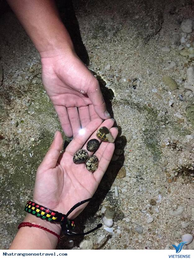 Hành Trình 7 Ngày Đi Trốn Tại Đà Lạt - Nha Trang - Mũi Đôi - Phú Yên - Điệp Sơn - Ảnh 8 Hành Trình 7 Ngày Đi Trốn Tại Đà Lạt - Nha Trang - Mũi Đôi - Phú Yên - Điệp Sơn - Ảnh 8