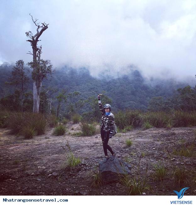 Hành Trình 7 Ngày Đi Trốn Tại Đà Lạt - Nha Trang - Mũi Đôi - Phú Yên - Điệp Sơn - Ảnh 2 Hành Trình 7 Ngày Đi Trốn Tại Đà Lạt - Nha Trang - Mũi Đôi - Phú Yên - Điệp Sơn - Ảnh 2