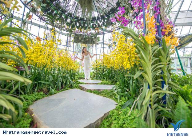 13h – 14h: Tiếp tục di chuyển đến Đồi Vạn Hoa và vườn Quý Vương - Ảnh 3