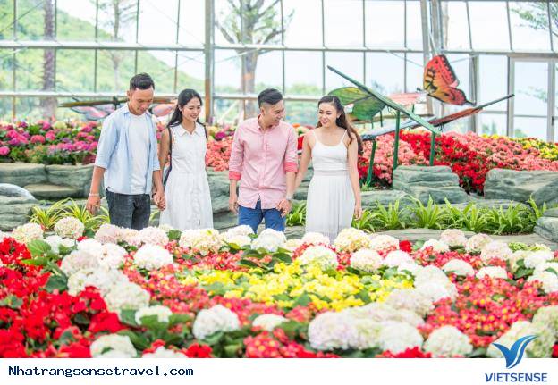 13h – 14h: Tiếp tục di chuyển đến Đồi Vạn Hoa và vườn Quý Vương - Ảnh 1