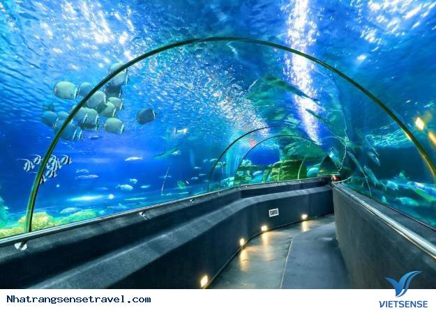 Hành trình một ngày ôm trọn Vinpearl Nha Trang - Ảnh 6 Hành trình một ngày ôm trọn Vinpearl Nha Trang - Ảnh 6