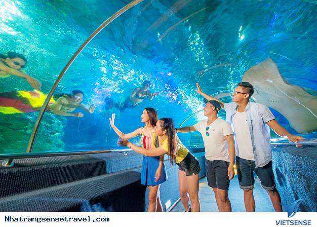 Hành trình một ngày ôm trọn Vinpearl Nha Trang - Ảnh 5 Hành trình một ngày ôm trọn Vinpearl Nha Trang - Ảnh 5