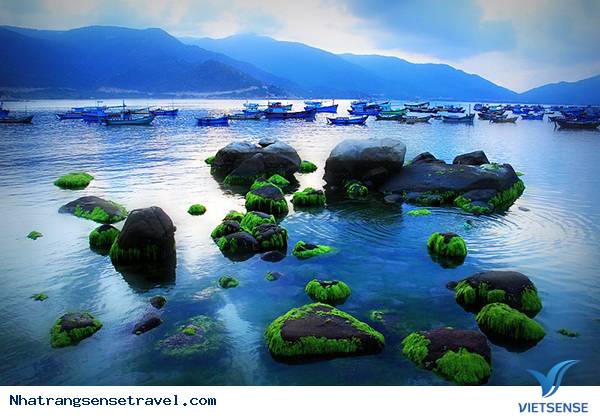 Hoang Sơ Đảo Bình Hưng - Khánh Hòa - Ảnh 1 Hoang Sơ Đảo Bình Hưng - Khánh Hòa - Ảnh 1